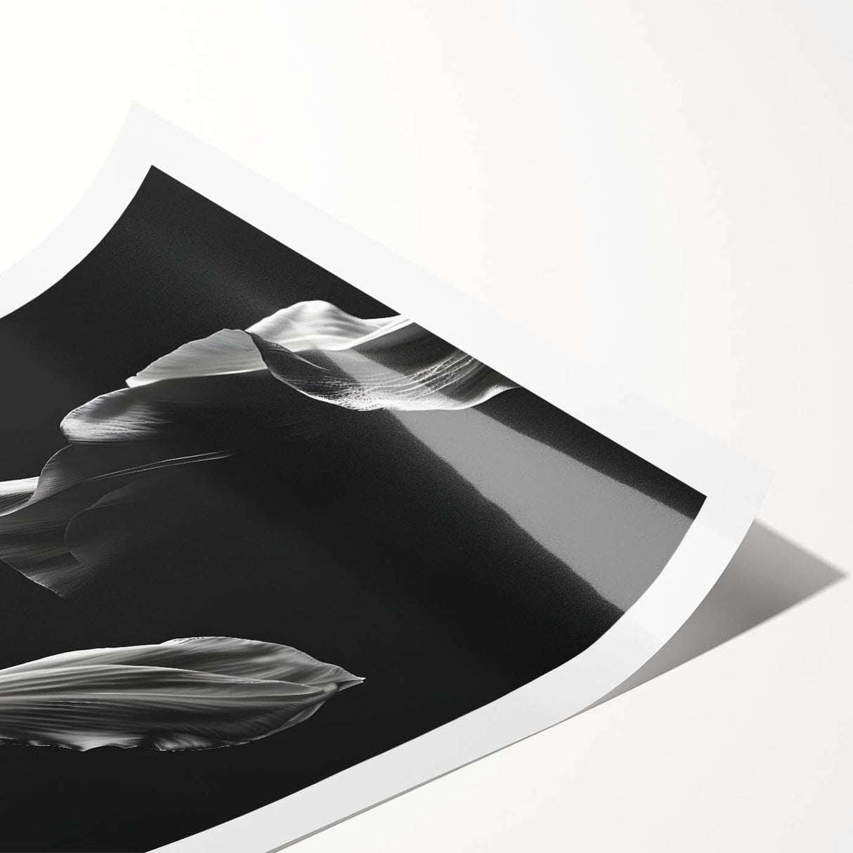 Elegant Floral Motion - Fine Art Photography Canvas Prints