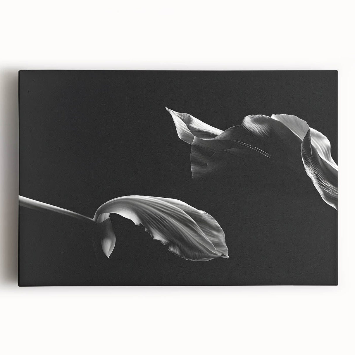 Elegant Floral Motion - Fine Art Photography Canvas Prints