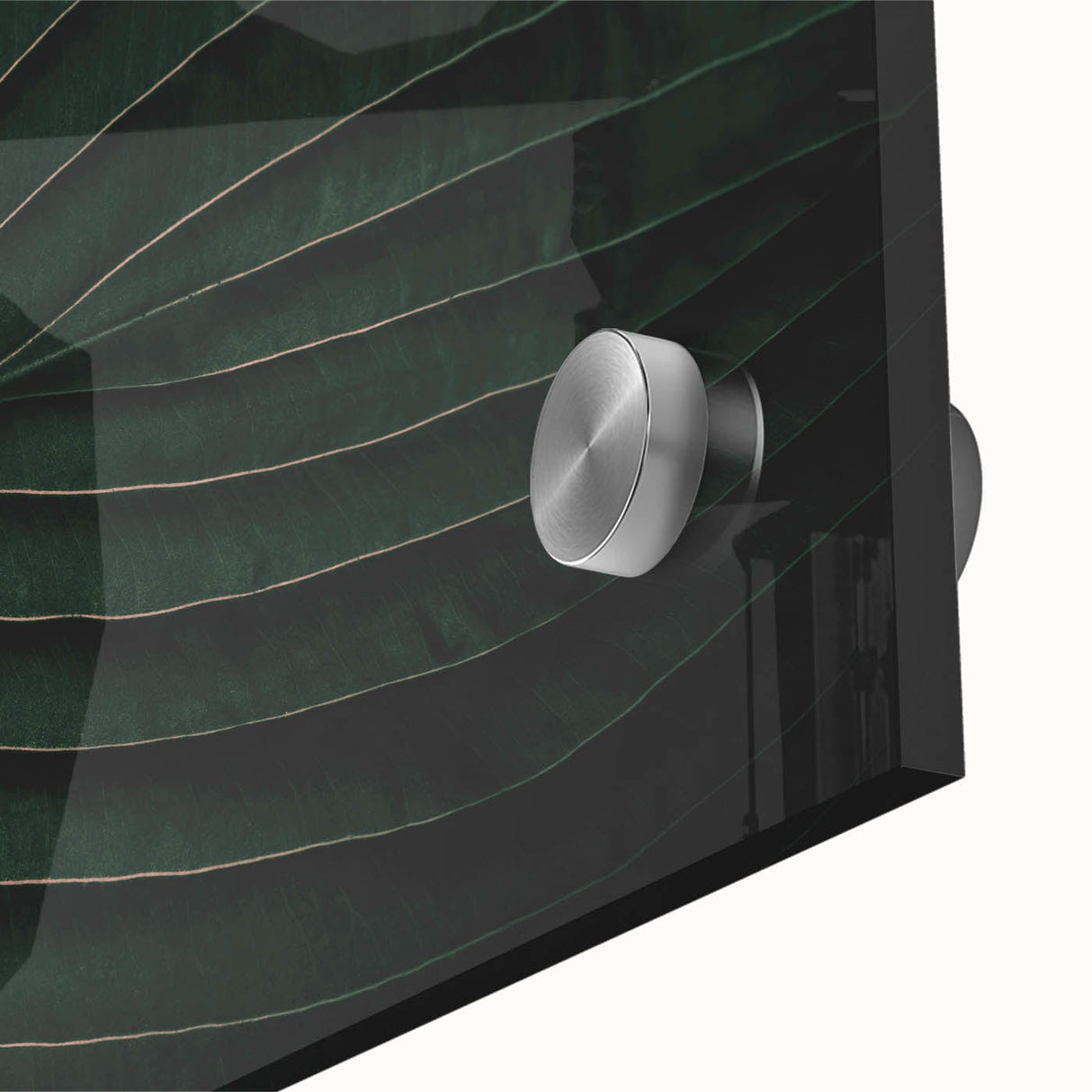 Botanical Elegance - Fine Art Green Leaf Photography Print