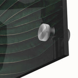 Botanical Elegance - Fine Art Green Leaf Photography Print