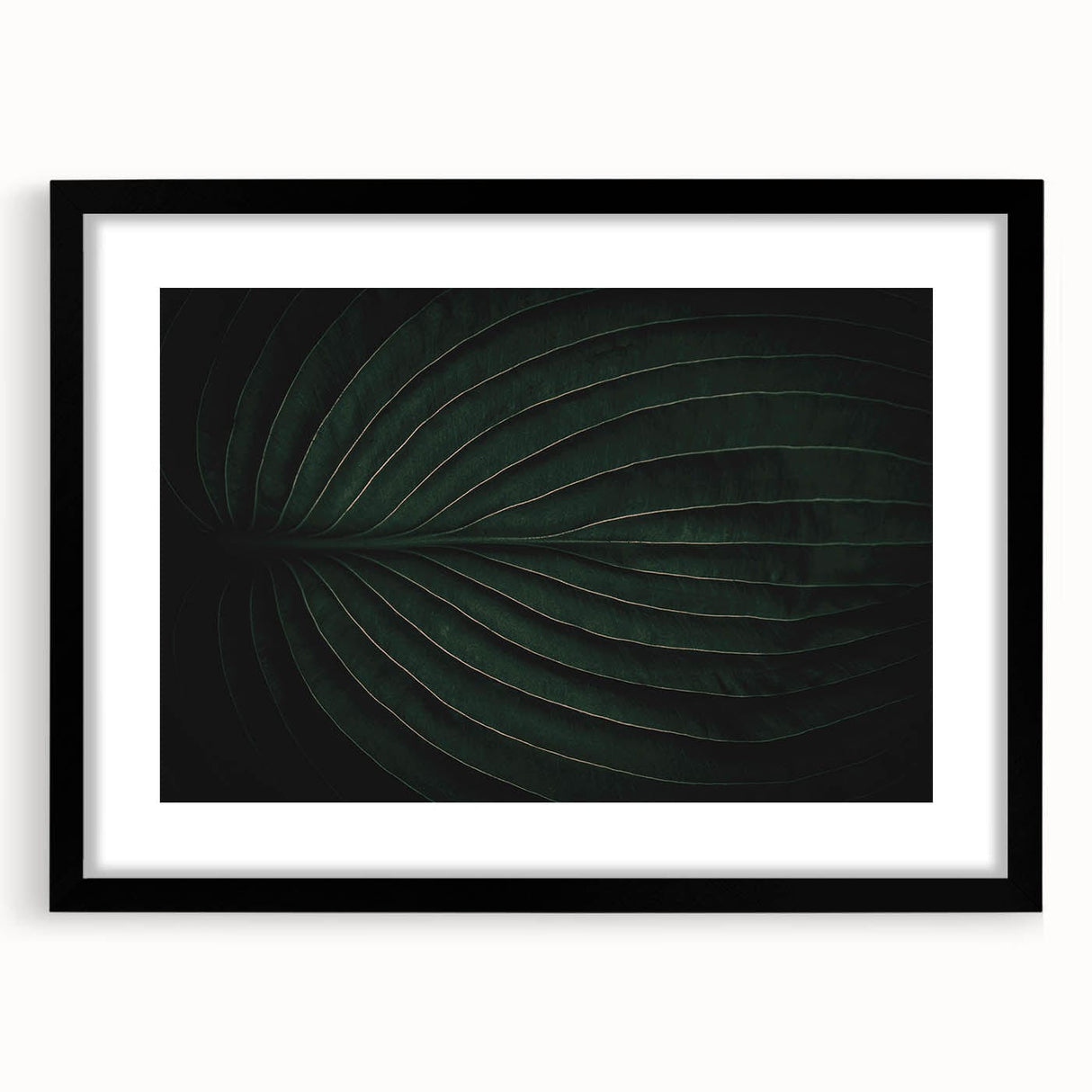 Botanical Elegance - Fine Art Green Leaf Photography Print