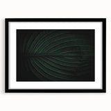 Botanical Elegance - Fine Art Green Leaf Photography Print