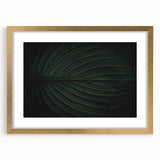 Botanical Elegance - Fine Art Green Leaf Photography Print
