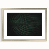 Botanical Elegance - Fine Art Green Leaf Photography Print