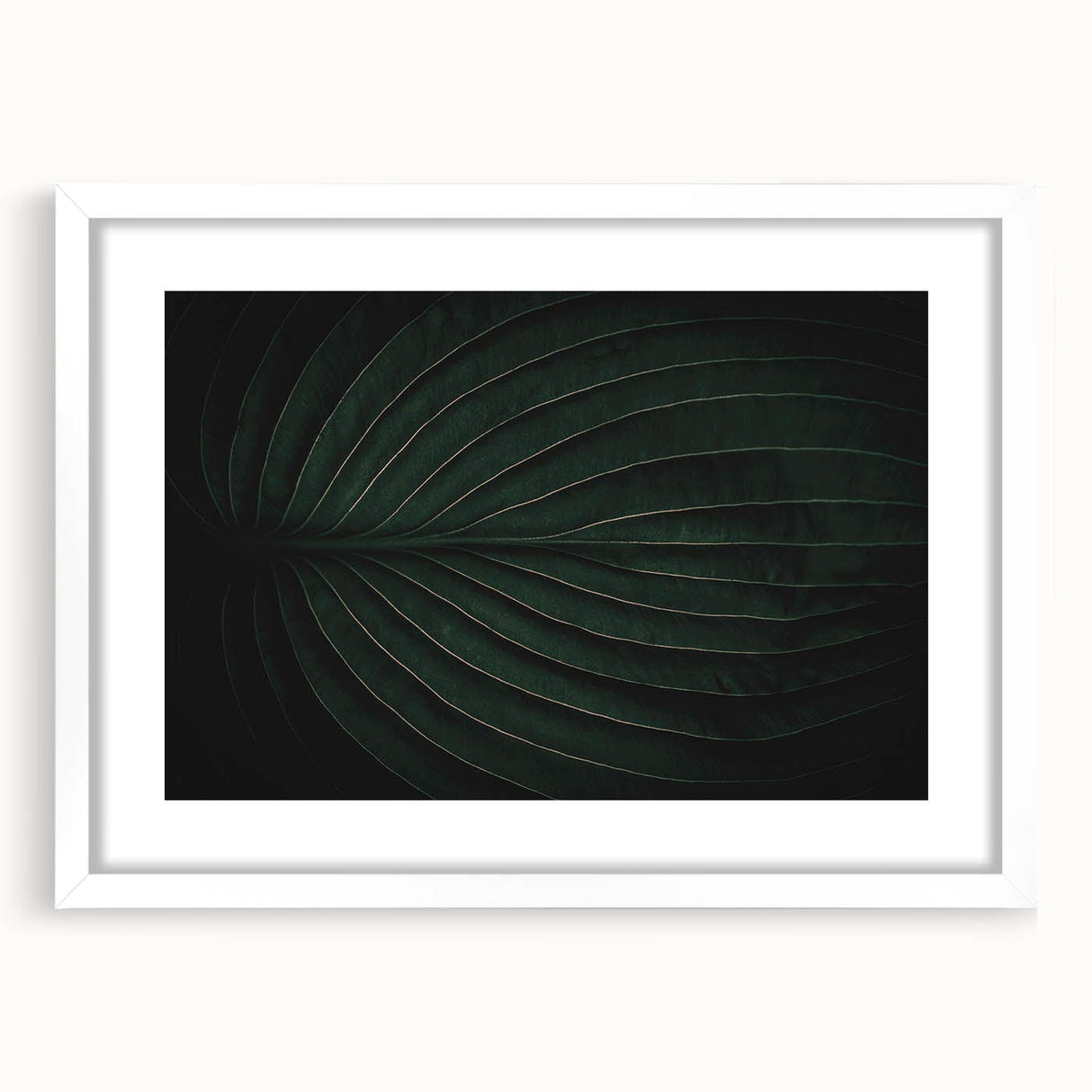 Botanical Elegance - Fine Art Green Leaf Photography Print