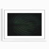Botanical Elegance - Fine Art Green Leaf Photography Print