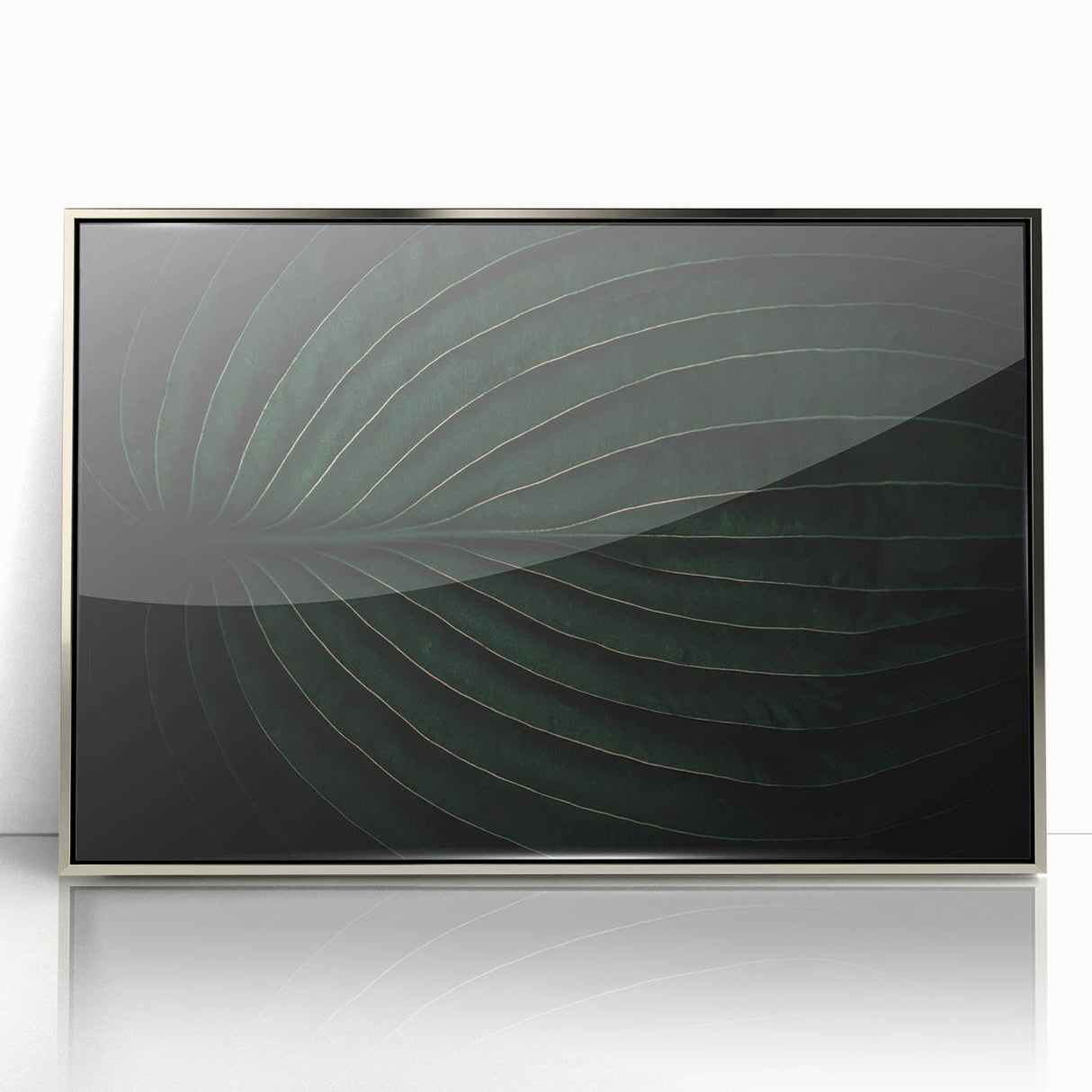 Botanical Elegance - Fine Art Green Leaf Photography Print