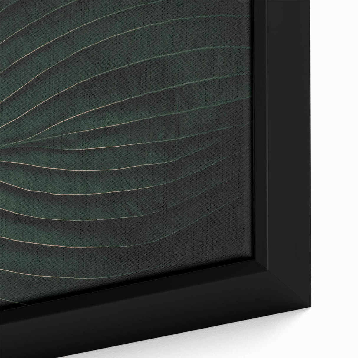 Botanical Elegance - Fine Art Green Leaf Photography Print