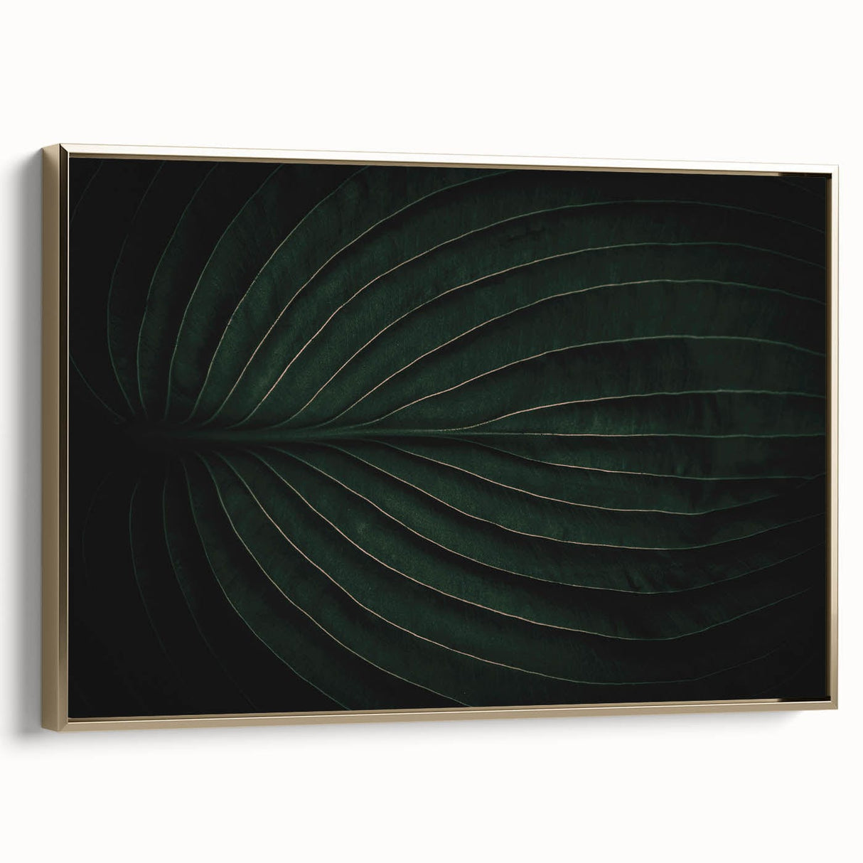 Botanical Elegance - Fine Art Green Leaf Photography Print