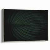 Botanical Elegance - Fine Art Green Leaf Photography Print