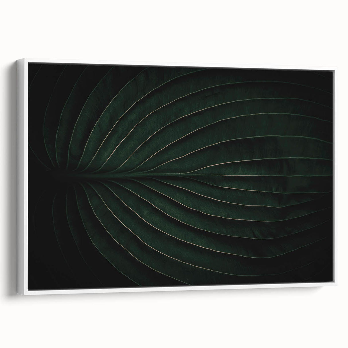 Botanical Elegance - Fine Art Green Leaf Photography Print