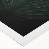 Botanical Elegance - Fine Art Green Leaf Photography Print