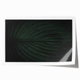 Botanical Elegance - Fine Art Green Leaf Photography Print