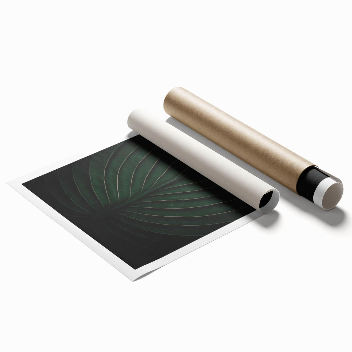 Botanical Elegance - Fine Art Green Leaf Photography Print