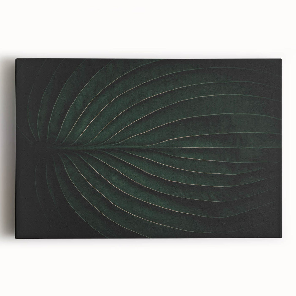 Botanical Elegance - Fine Art Green Leaf Photography Print