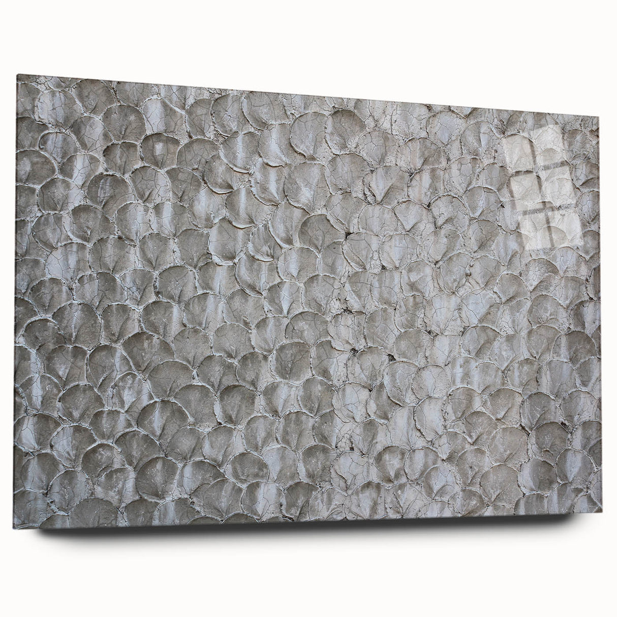 Modern Abstract Canvas Prints with Textured Petal Pattern – Neutral Art