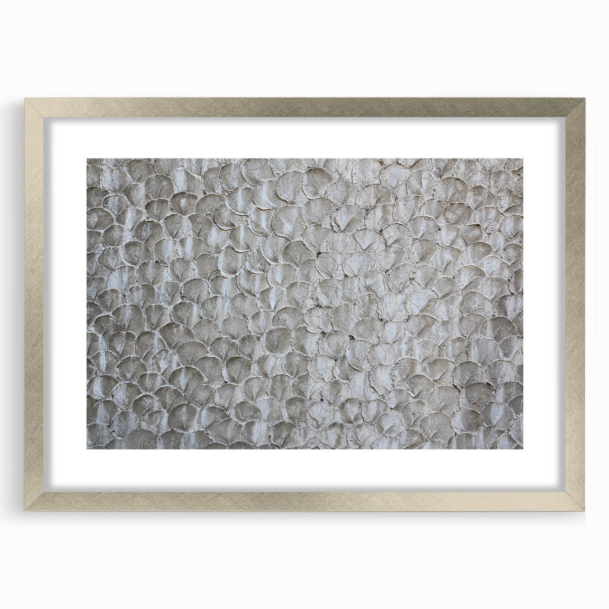 Modern Abstract Canvas Prints with Textured Petal Pattern – Neutral Art