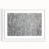 Modern Abstract Canvas Prints with Textured Petal Pattern – Neutral Art