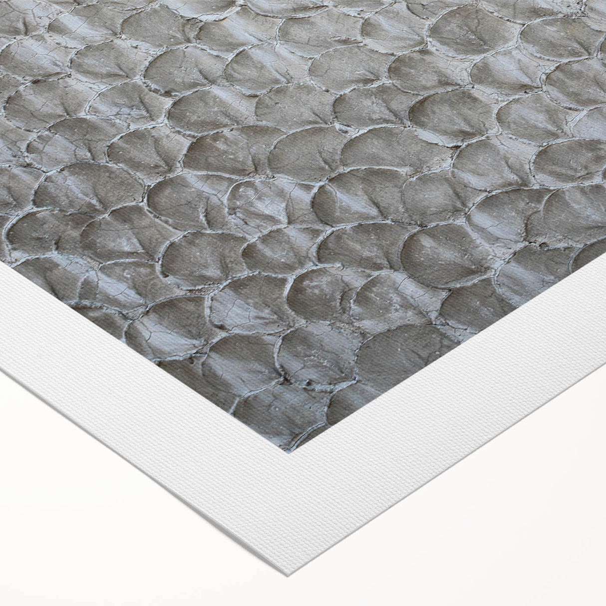 Modern Abstract Canvas Prints with Textured Petal Pattern – Neutral Art