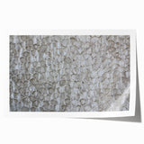 Modern Abstract Canvas Prints with Textured Petal Pattern – Neutral Art