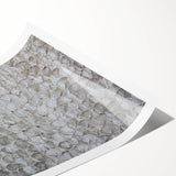 Modern Abstract Canvas Prints with Textured Petal Pattern – Neutral Art