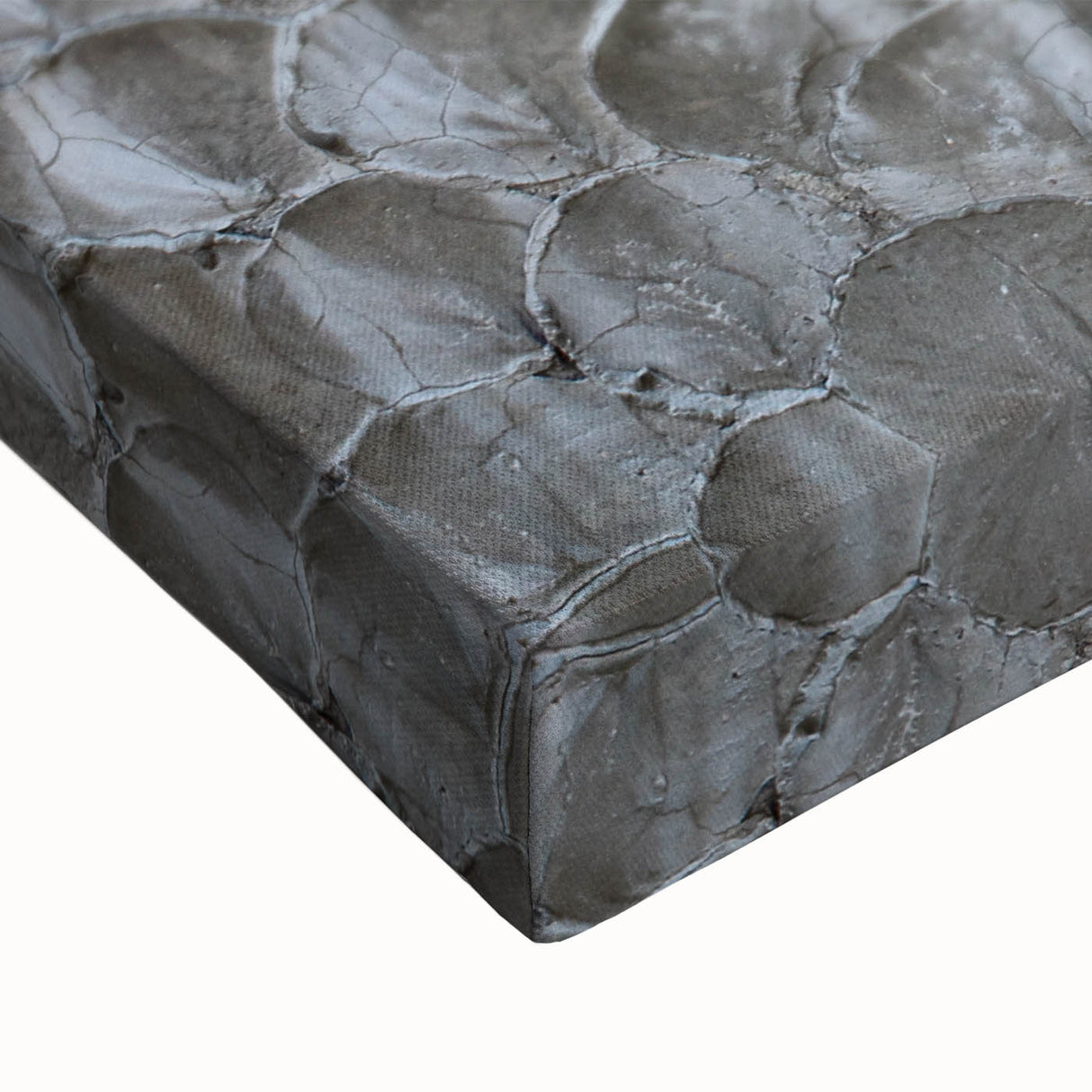Modern Abstract Canvas Prints with Textured Petal Pattern – Neutral Art