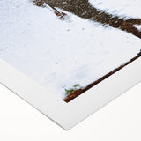 Urban Scenery Wall Art – Contemporary Rain Reflection Photography