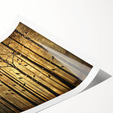 Golden Forest Abstract Wall Art – Mystical Nature Canvas Print