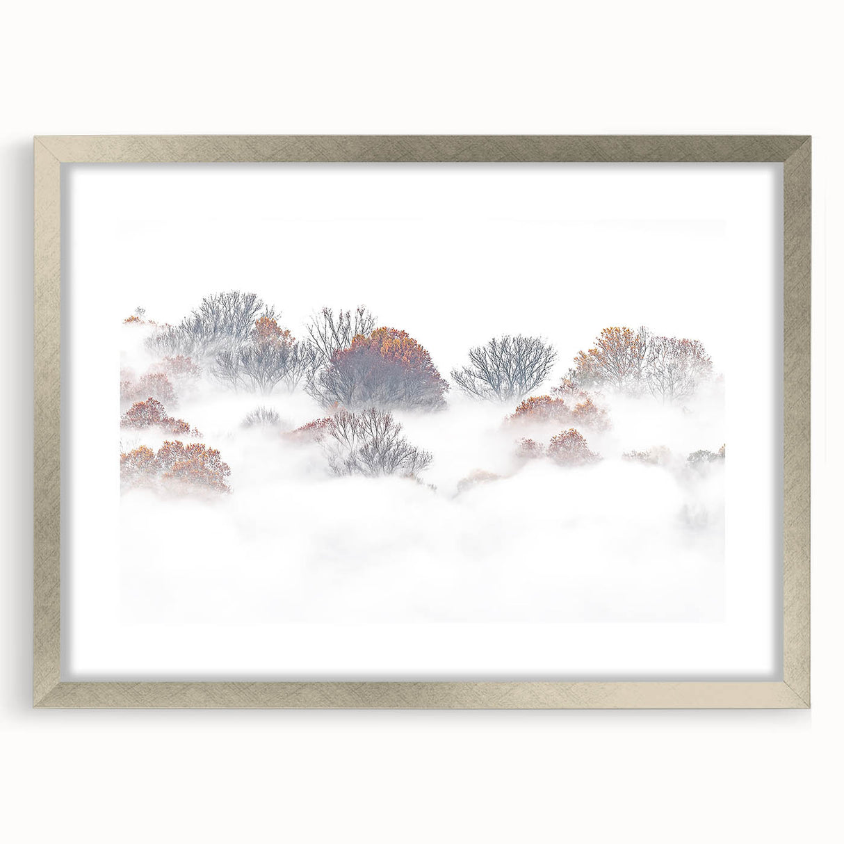 Misty Autumn – Fine Art Photography of Trees in Morning Fog