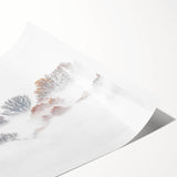 Misty Autumn – Fine Art Photography of Trees in Morning Fog