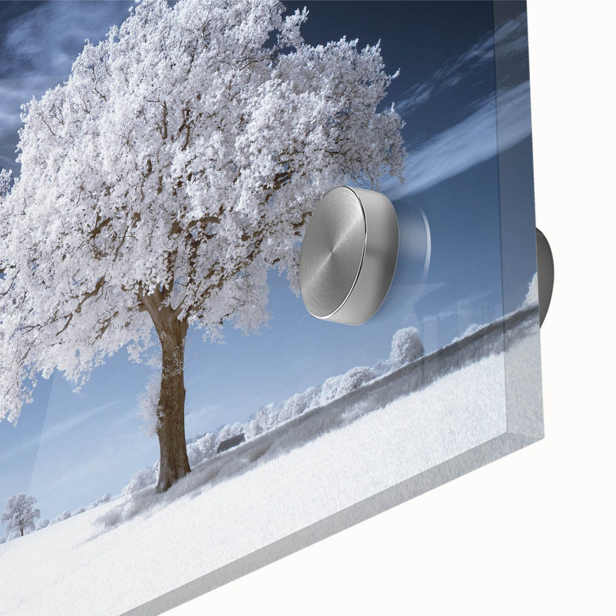 Fine Art Photography Acrylic Prints – Winter Serenity
