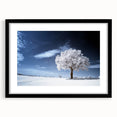 Fine Art Photography Acrylic Prints – Winter Serenity