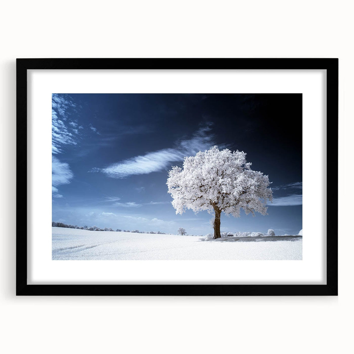 Fine Art Photography Acrylic Prints – Winter Serenity