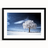 Fine Art Photography Acrylic Prints – Winter Serenity