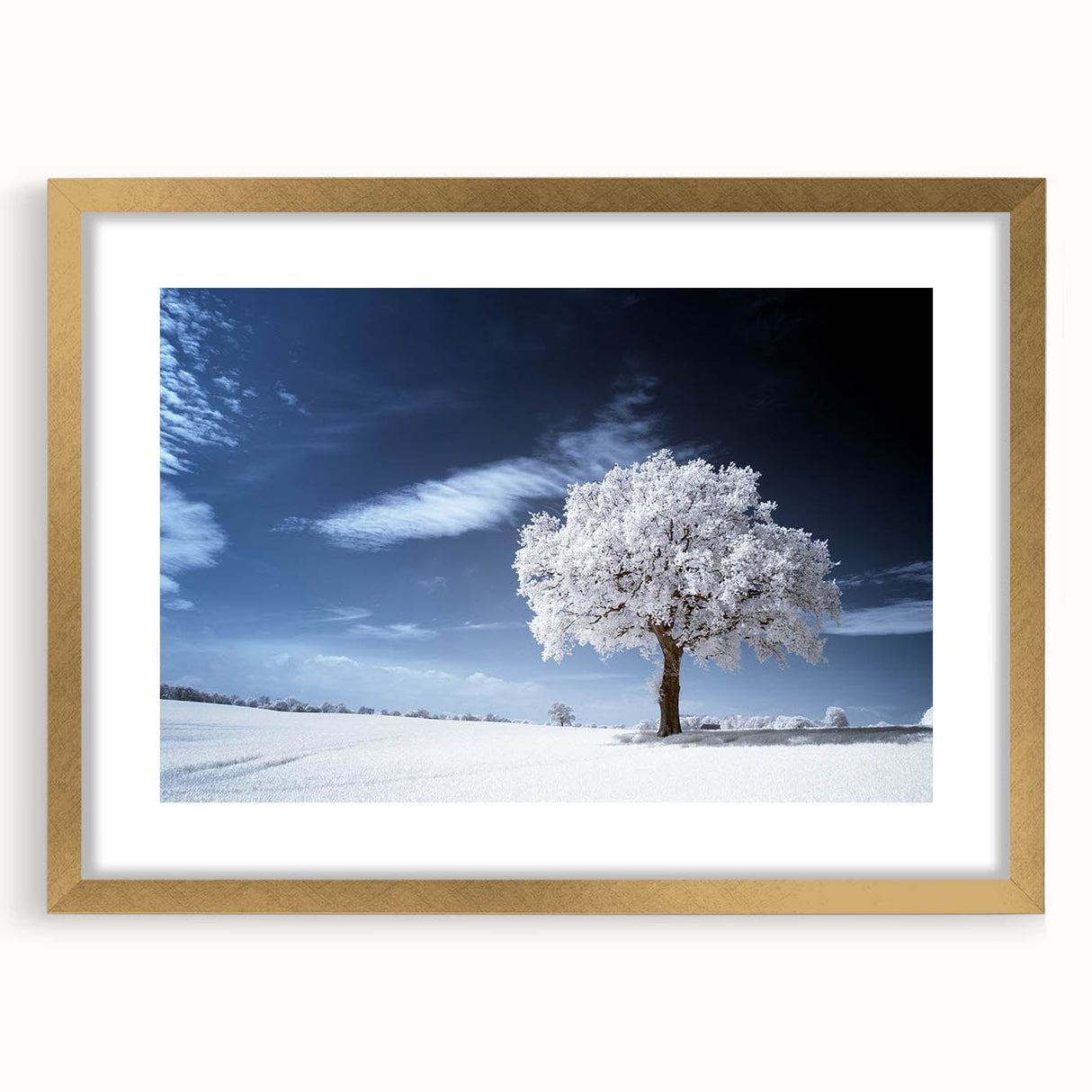 Fine Art Photography Acrylic Prints – Winter Serenity