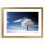 Fine Art Photography Acrylic Prints – Winter Serenity