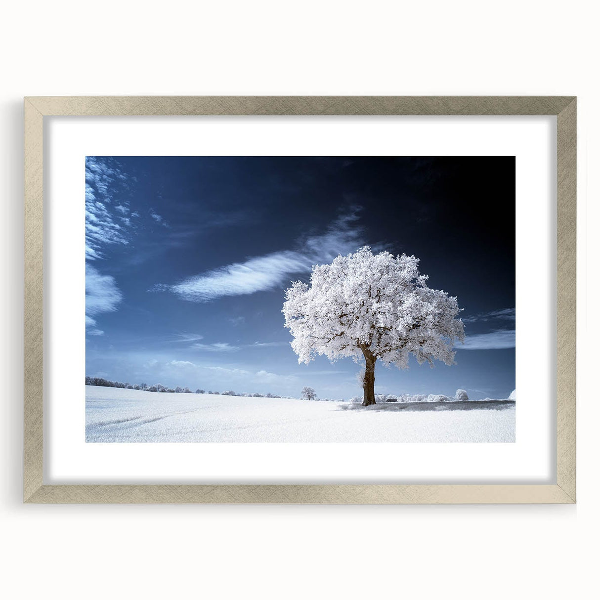 Fine Art Photography Acrylic Prints – Winter Serenity