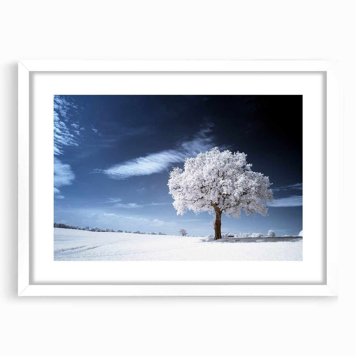 Fine Art Photography Acrylic Prints – Winter Serenity