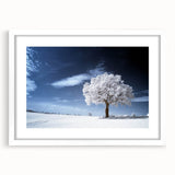 Fine Art Photography Acrylic Prints – Winter Serenity