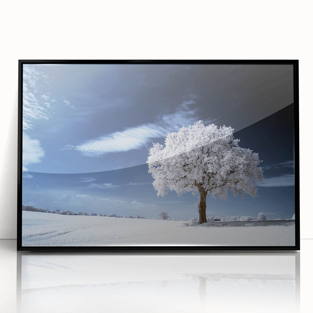 Fine Art Photography Acrylic Prints – Winter Serenity