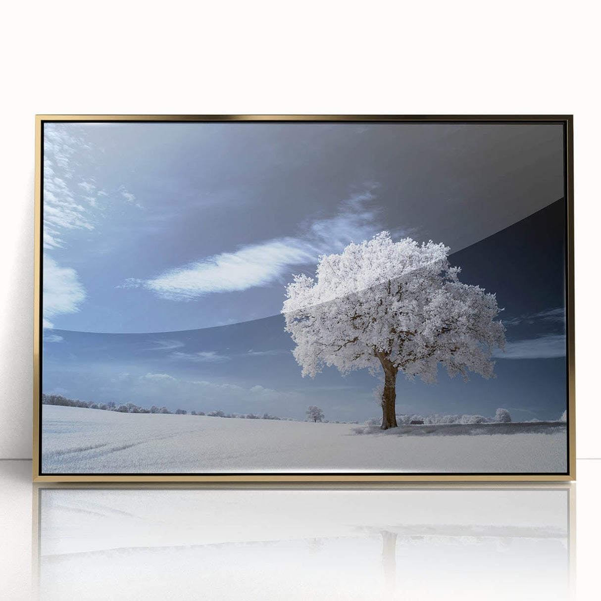Fine Art Photography Acrylic Prints – Winter Serenity