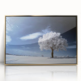 Fine Art Photography Acrylic Prints – Winter Serenity