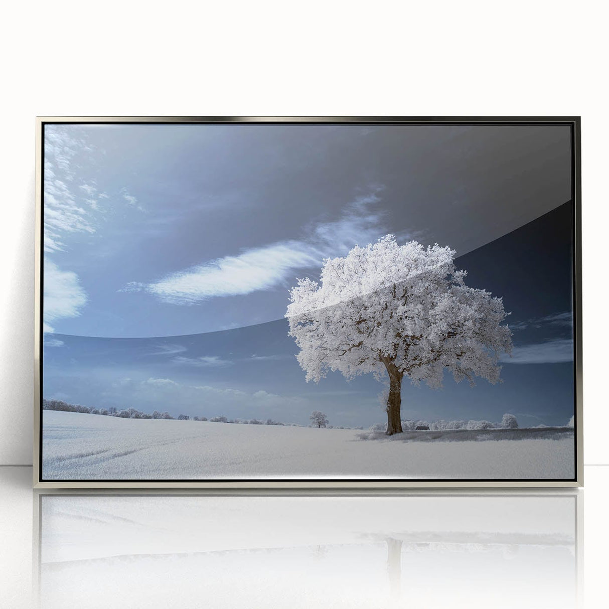 Fine Art Photography Acrylic Prints – Winter Serenity