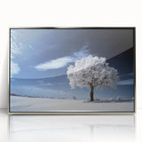 Fine Art Photography Acrylic Prints – Winter Serenity