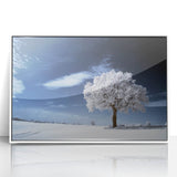 Fine Art Photography Acrylic Prints – Winter Serenity