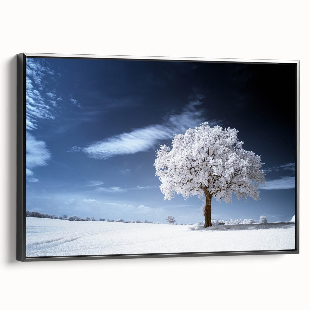Fine Art Photography Acrylic Prints – Winter Serenity