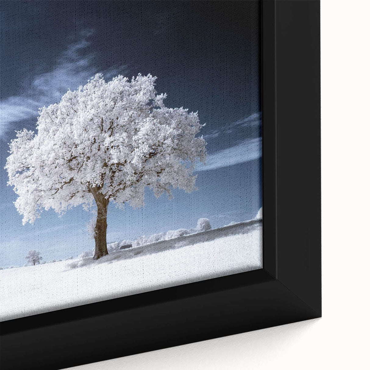 Fine Art Photography Acrylic Prints – Winter Serenity