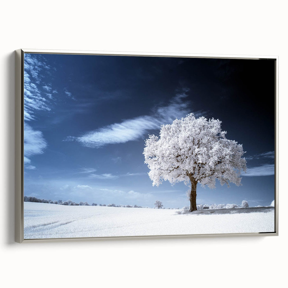 Fine Art Photography Acrylic Prints – Winter Serenity
