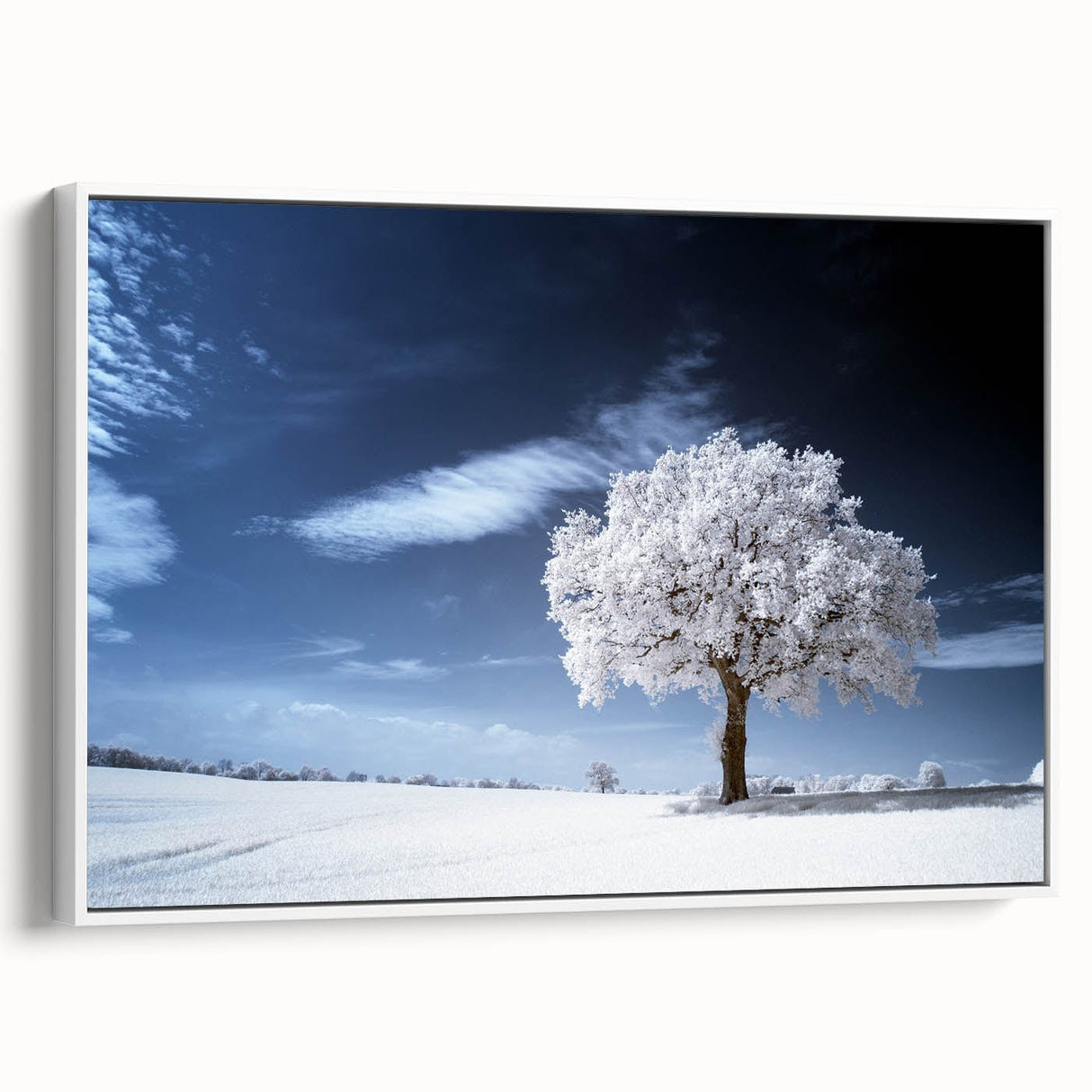 Fine Art Photography Acrylic Prints – Winter Serenity