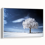 Fine Art Photography Acrylic Prints – Winter Serenity